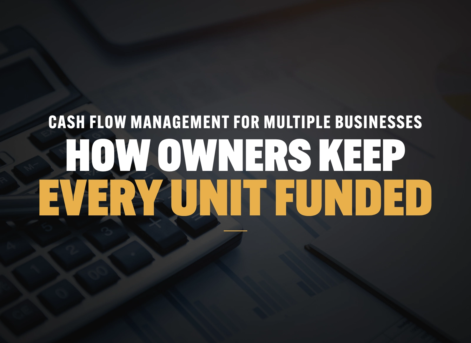 Cash Flow Management for Multiple Businesses